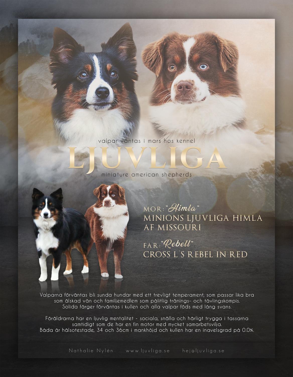 kullannons himlaochrebell copy