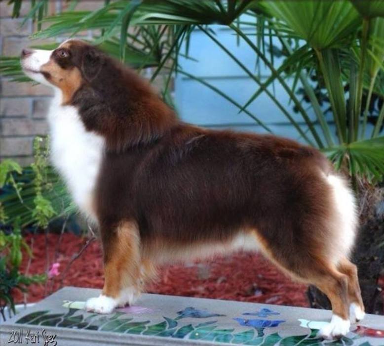 12096237_486167094898470_4366275258815733836_n