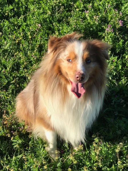 59337407_824574887900036_1946608920919277568_n