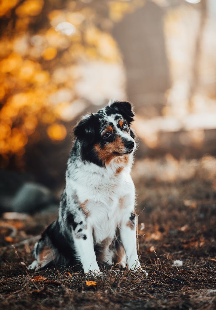 Denna bild har ett alt-attribut som är tomt. Dess filnamn är bgqyxxvg-1.jpeg