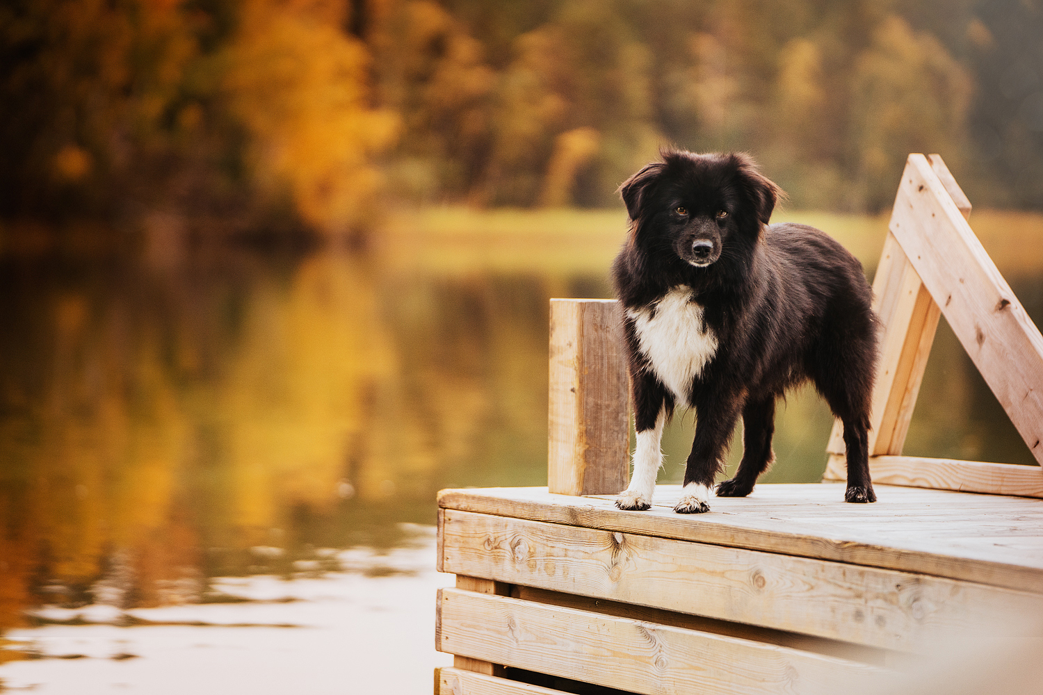 DSC09310-Redigera-Redigera