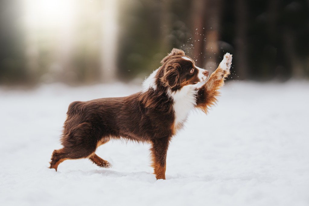 Denna bild har ett alt-attribut som är tomt. Dess filnamn är dsc04633-redigera.jpg