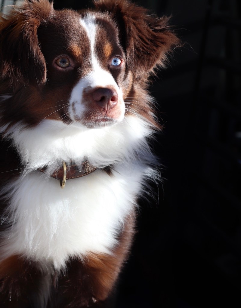 Denna bild har ett alt-attribut som är tomt. Dess filnamn är image2-1.jpeg