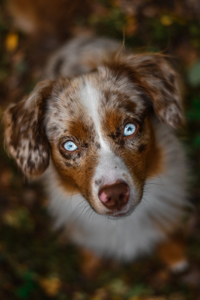 Denna bild har ett alt-attribut som är tomt. Dess filnamn är p2.jpeg